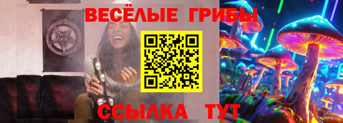 Псилоцибиновые грибы MAGIC MUSHROOMS Зеленогорск