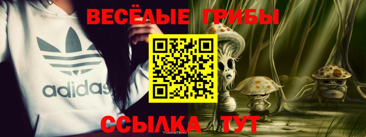 Псилоцибиновые грибы Magic Shrooms  Вход с VPN  Зеленогорск 